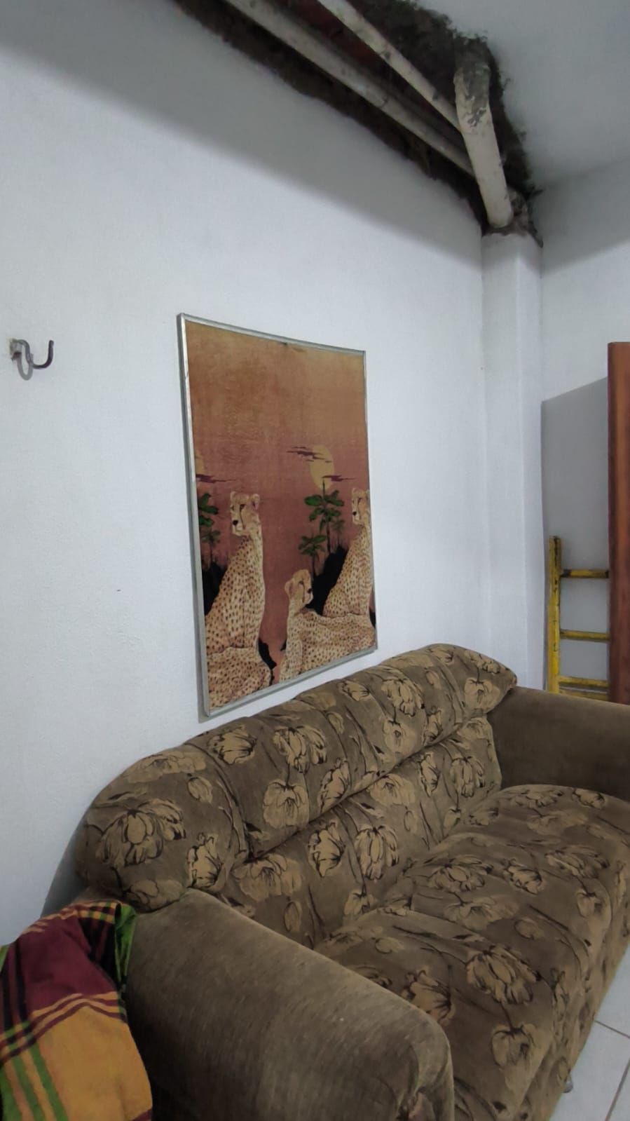 Casa, 4 quartos, 174 m² - Foto 5