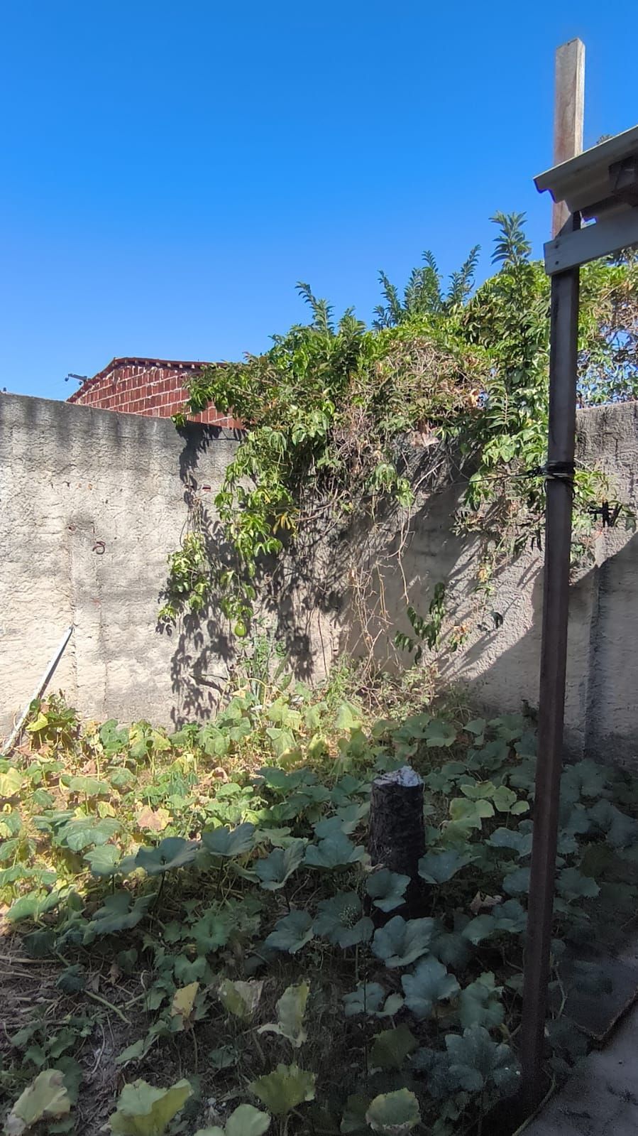 Casa, 1 quarto, 130 m² - Foto 33