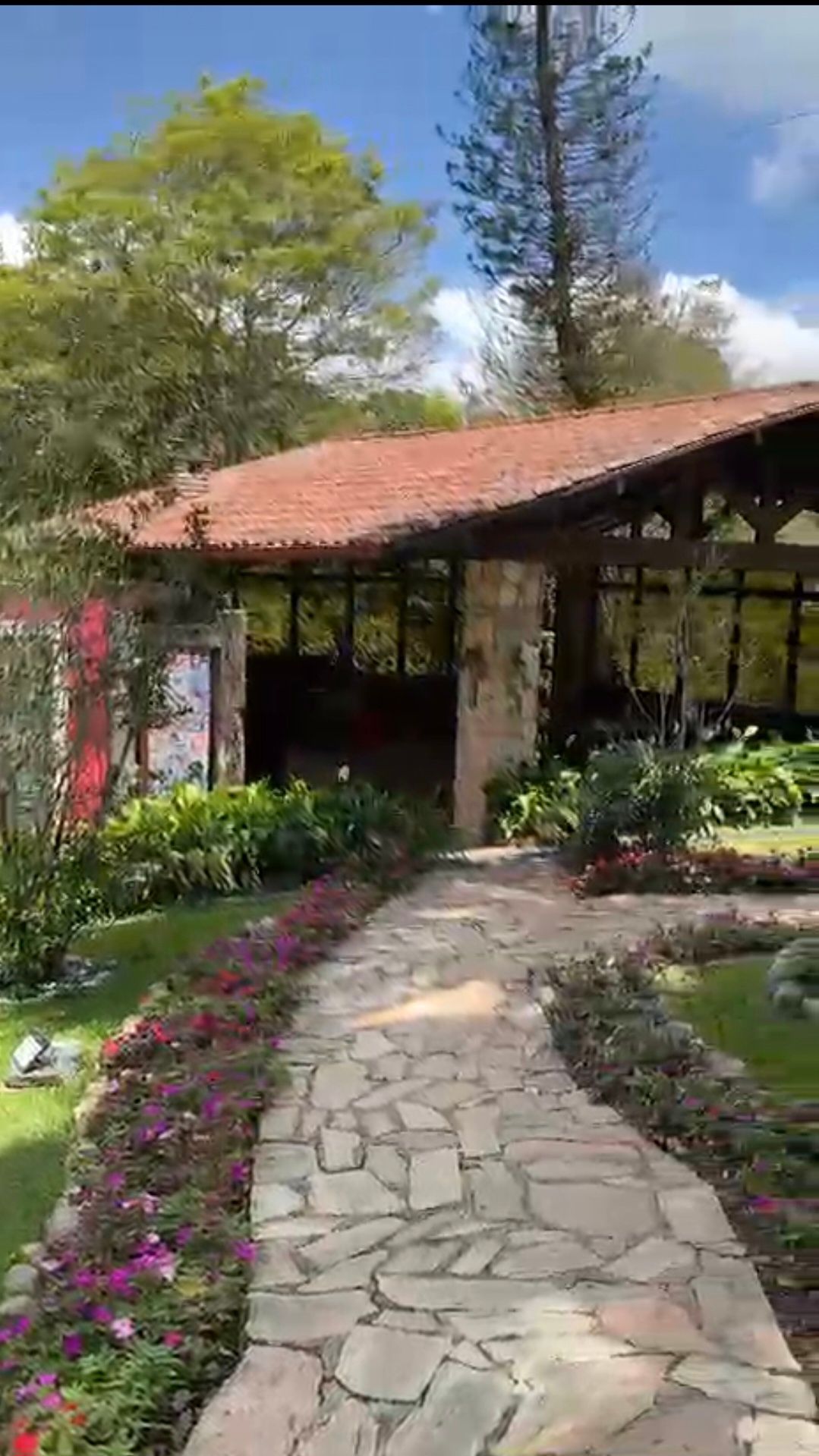 Chácara, 5 quartos, 33 hectares - Foto 25