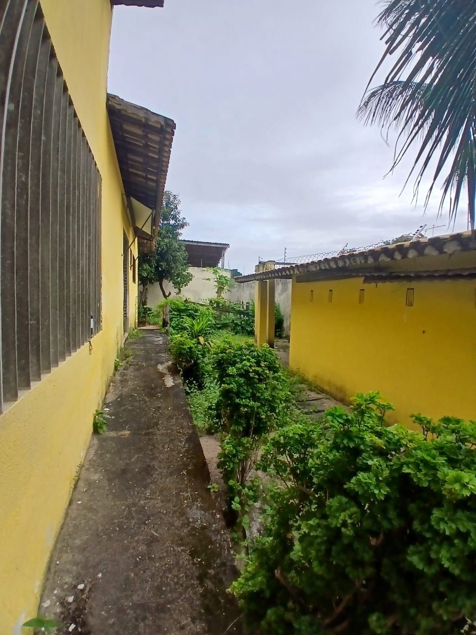 Casa, 5 quartos, 440 m² - Foto 7