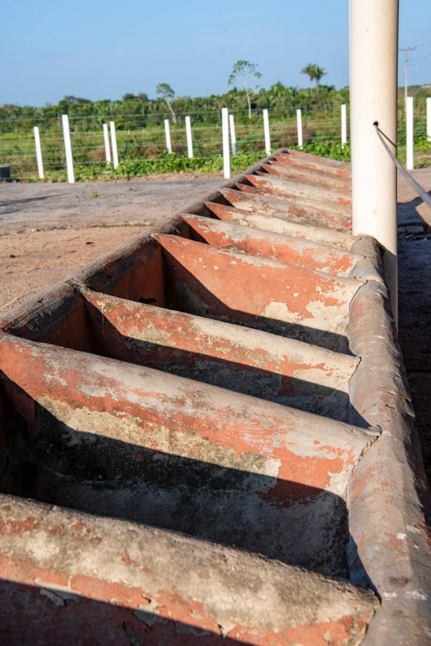 Fazenda/Sítios/Chácaras de 4 quartos, no bairro Zona Rural, em Bacabeira | Eu Corretor