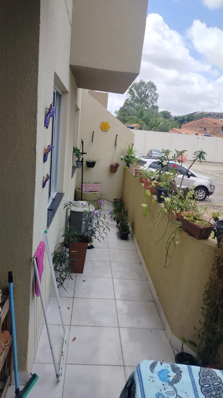 img230970216