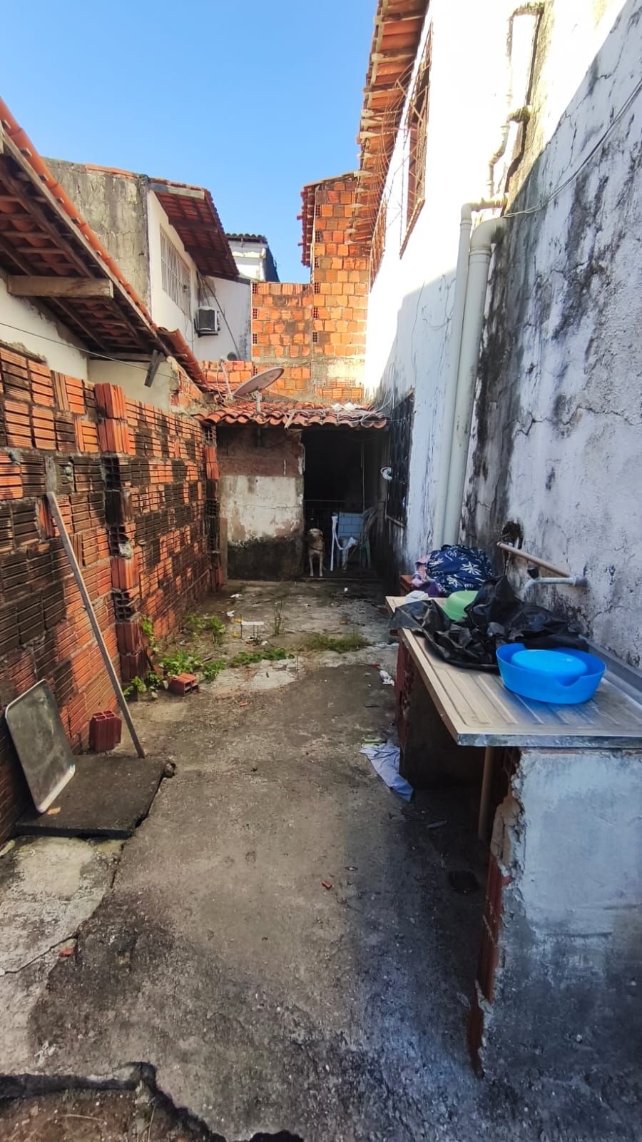 Casa, 4 quartos, 287 m² - Foto 29