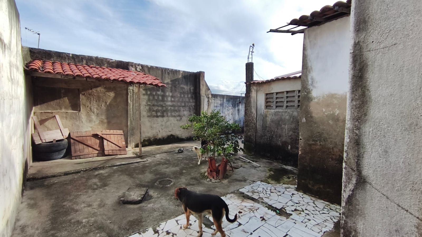 Casa, 7 quartos, 360 m² - Foto 36