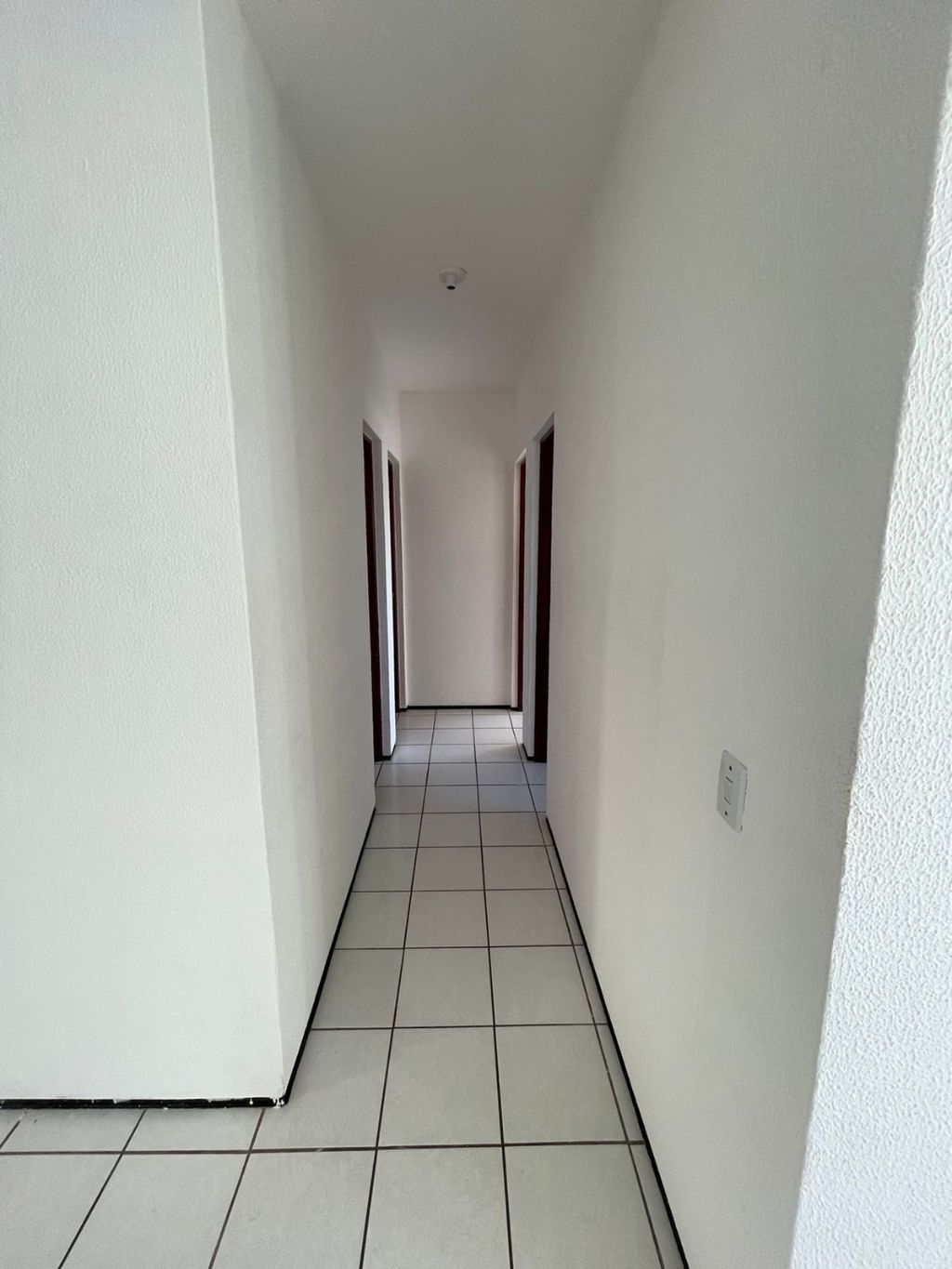 img233600502