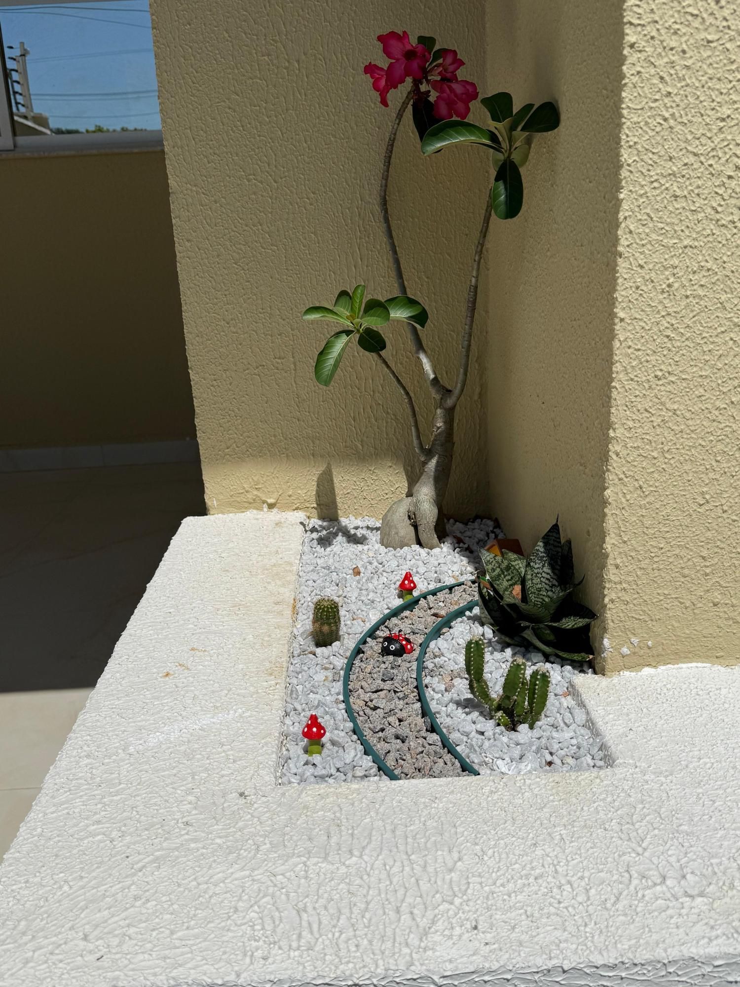 Casa, 3 quartos, 83 m² - Foto 6
