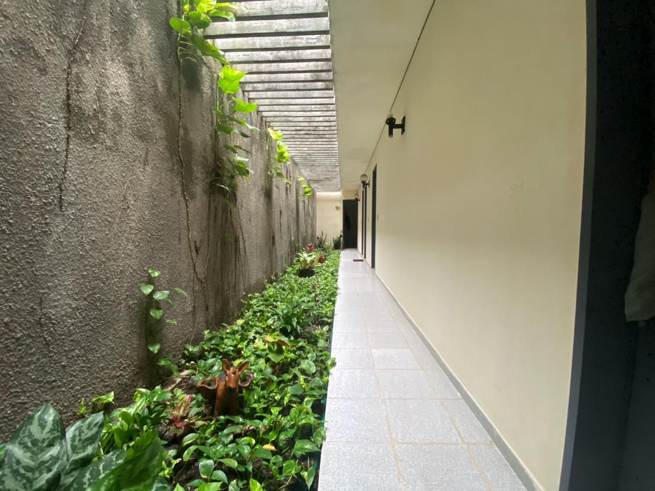 img64396405
