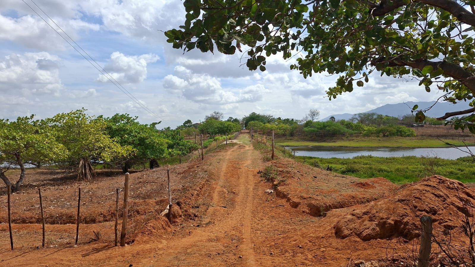 Fazenda, 300 m² - Foto 1