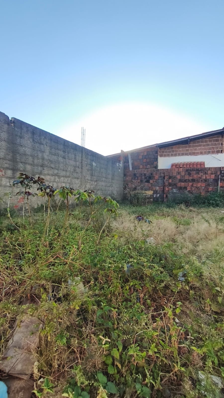 Casa, 4 quartos, 287 m² - Foto 30