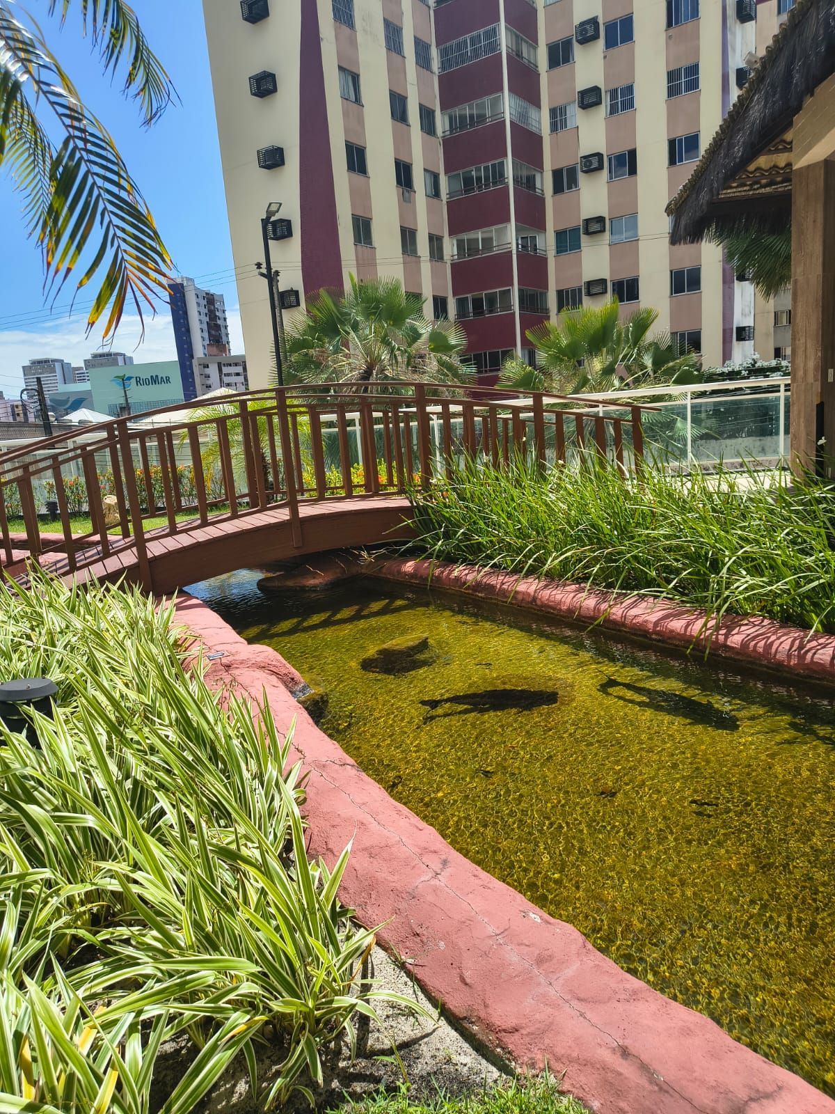 Apartamento, 4 quartos, 100 m² - Foto 12
