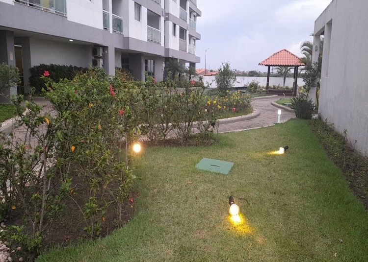 img100520833