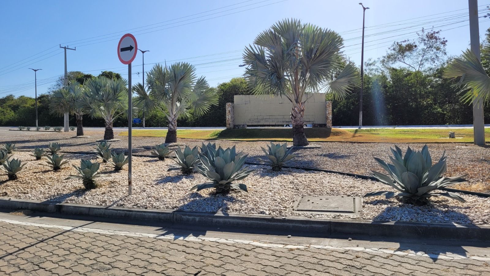 Terreno, 331 m² - Foto 5