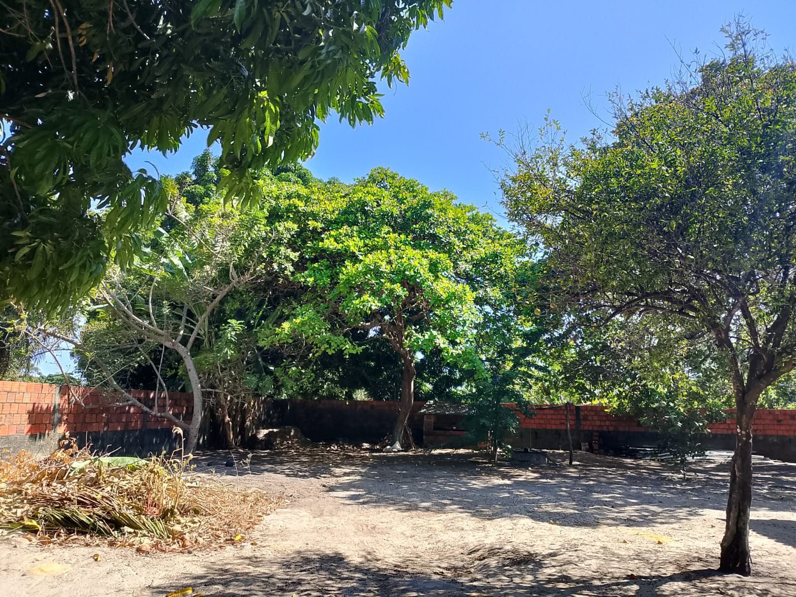 Chácara, 2 quartos, 1500 m² - Foto 2