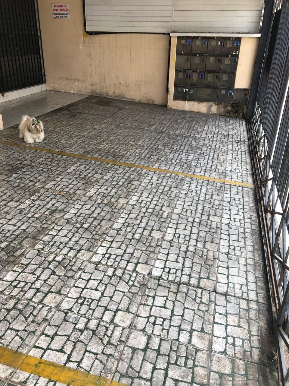 Prédio Inteiro, 800 m² - Foto 1