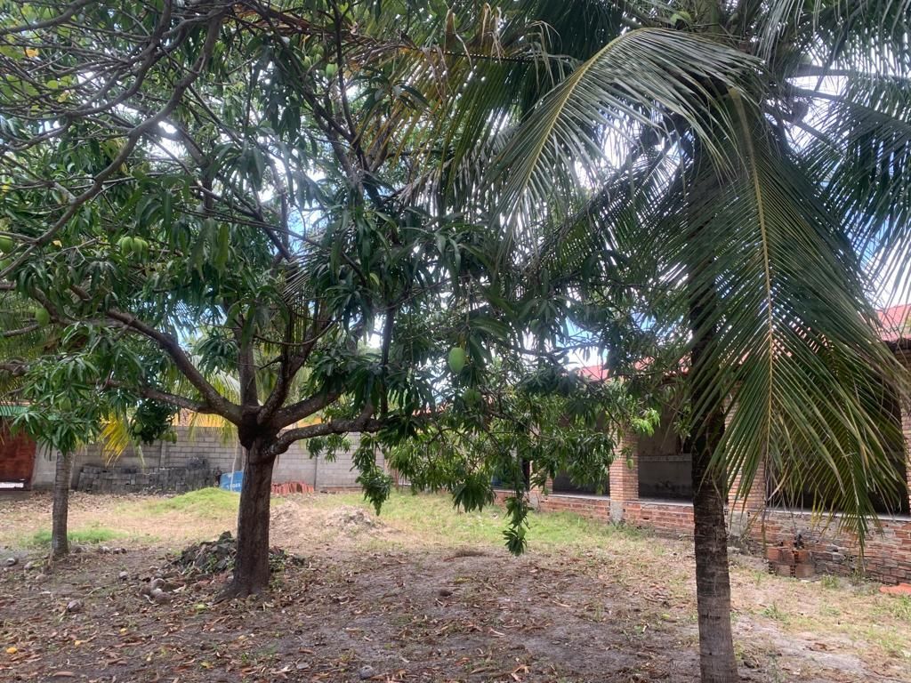 Terreno, 2792 m² - Foto 4