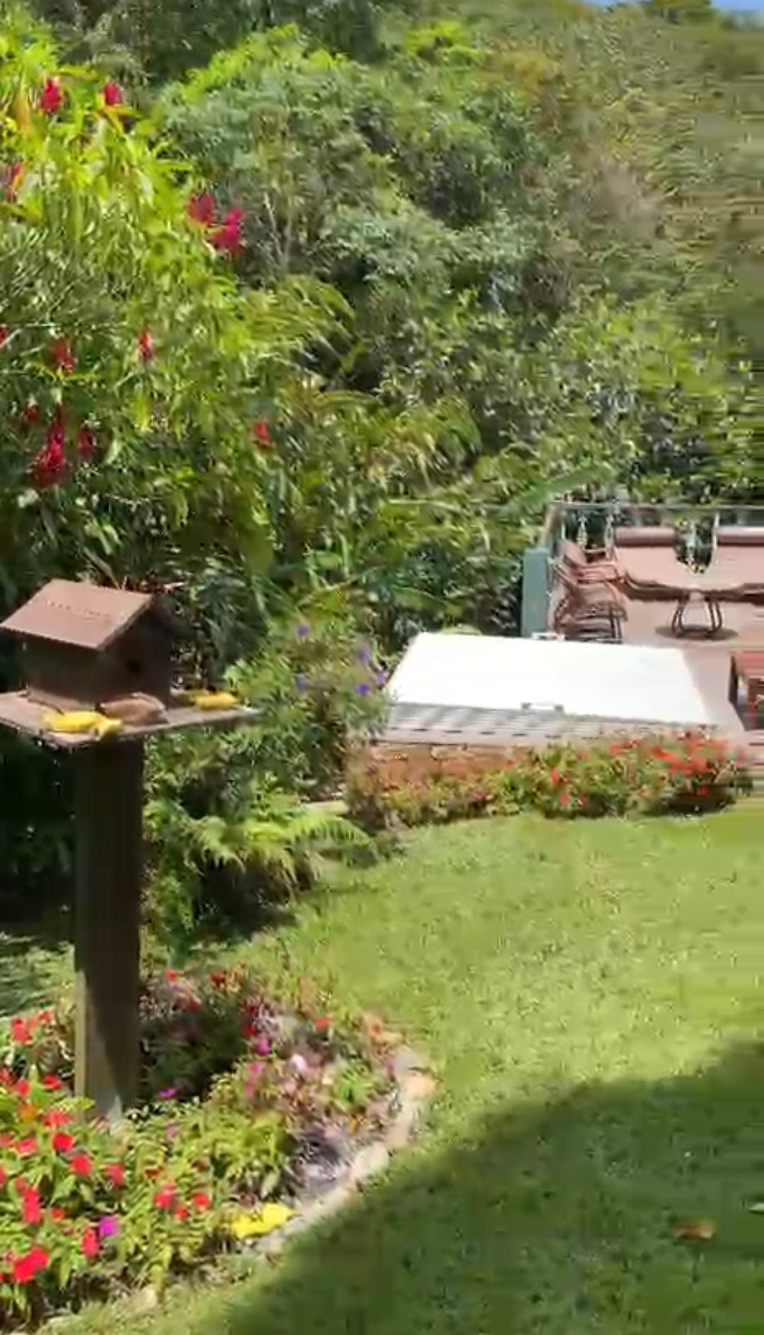 Chácara, 5 quartos, 33 hectares - Foto 27
