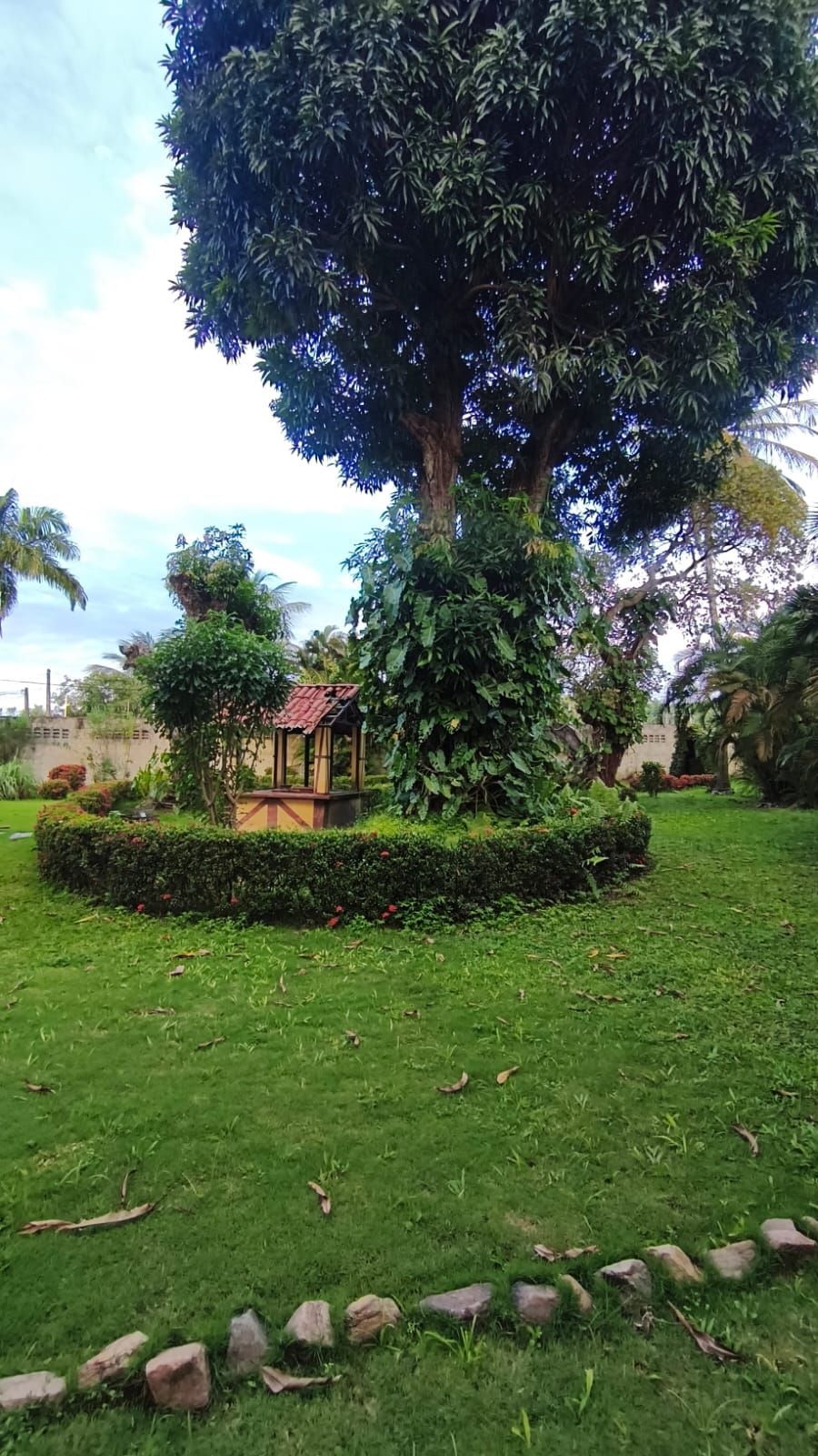 Chácara, 6 quartos, 2 hectares - Foto 9