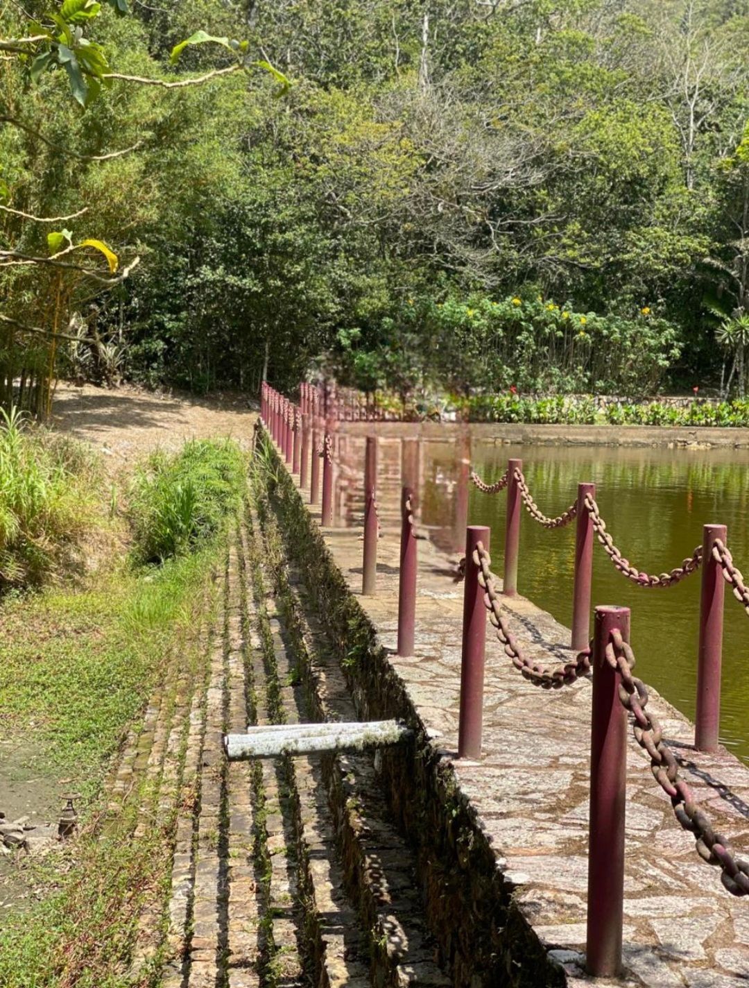 Chácara, 5 quartos, 33 hectares - Foto 69