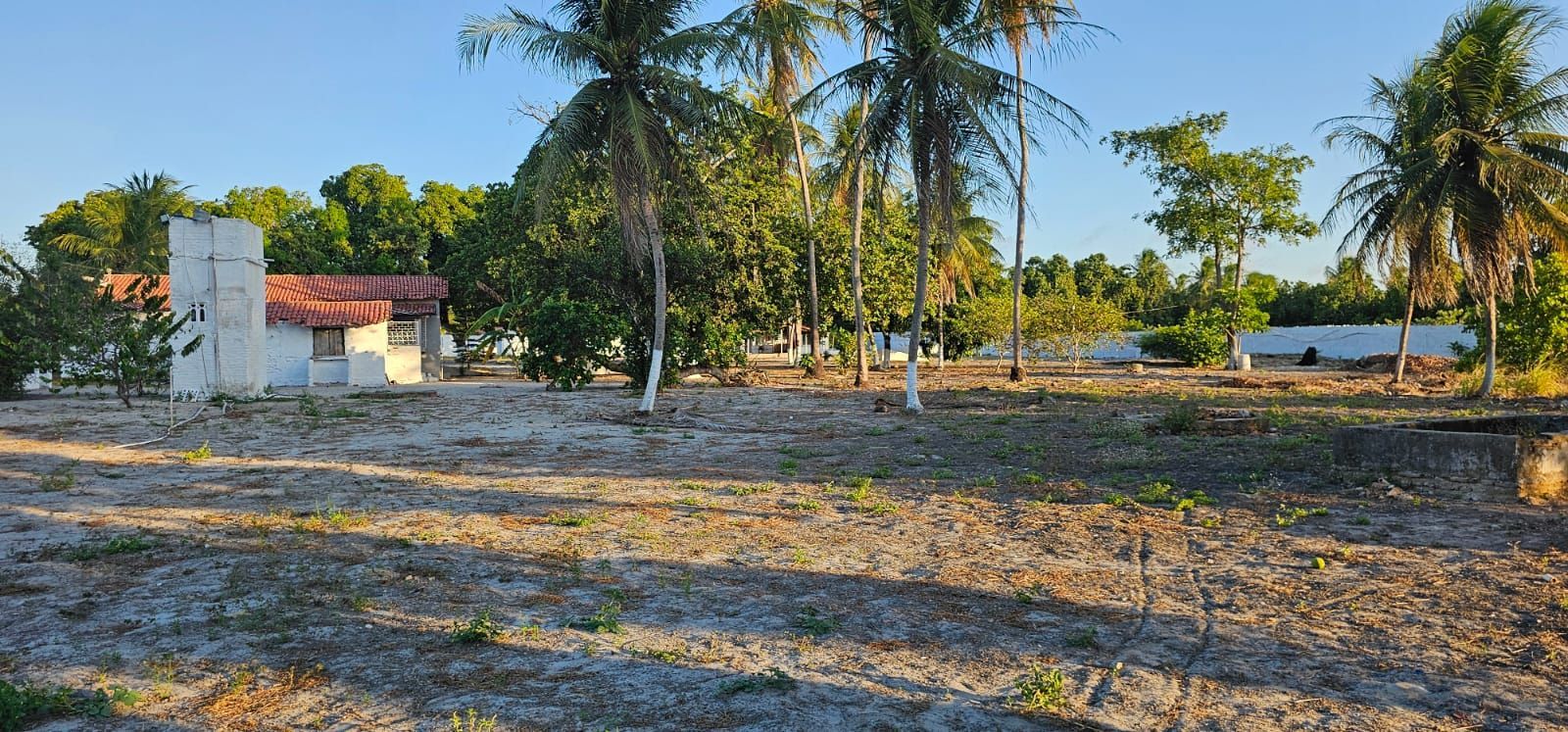 img86467002