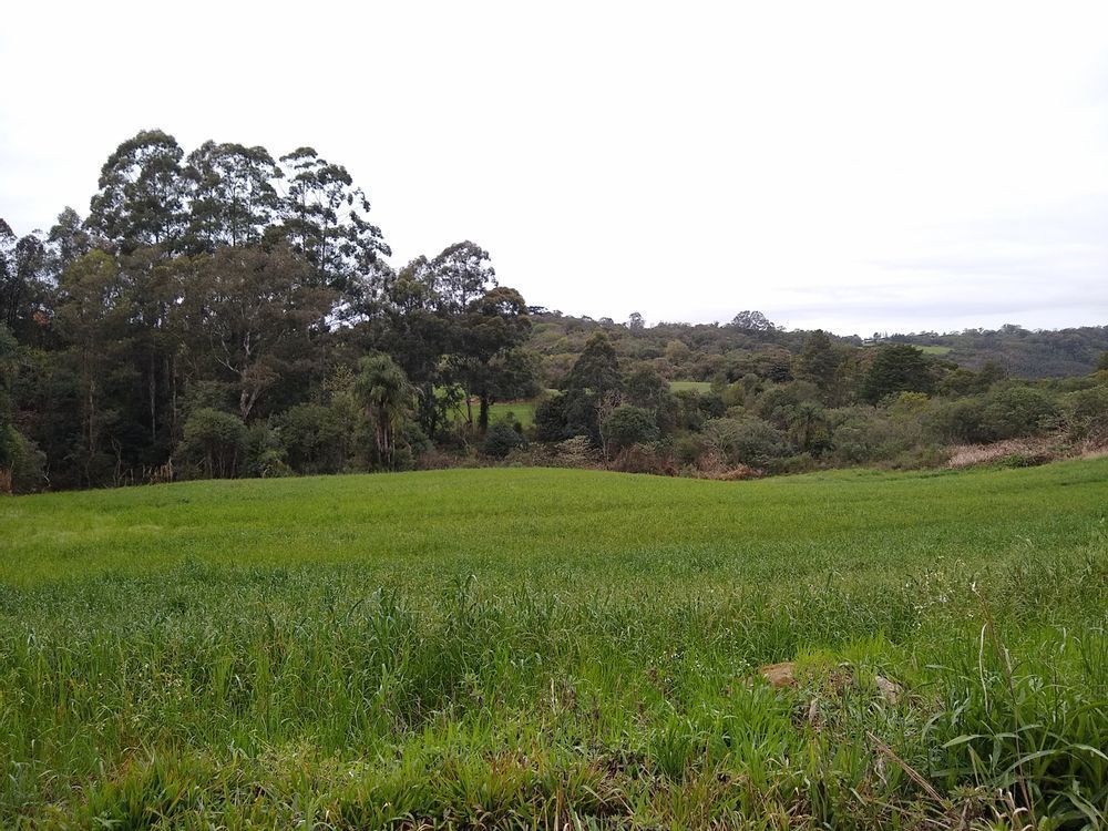 Terreno comercial à venda  no Monte Verde - Farroupilha, RS. Imóveis