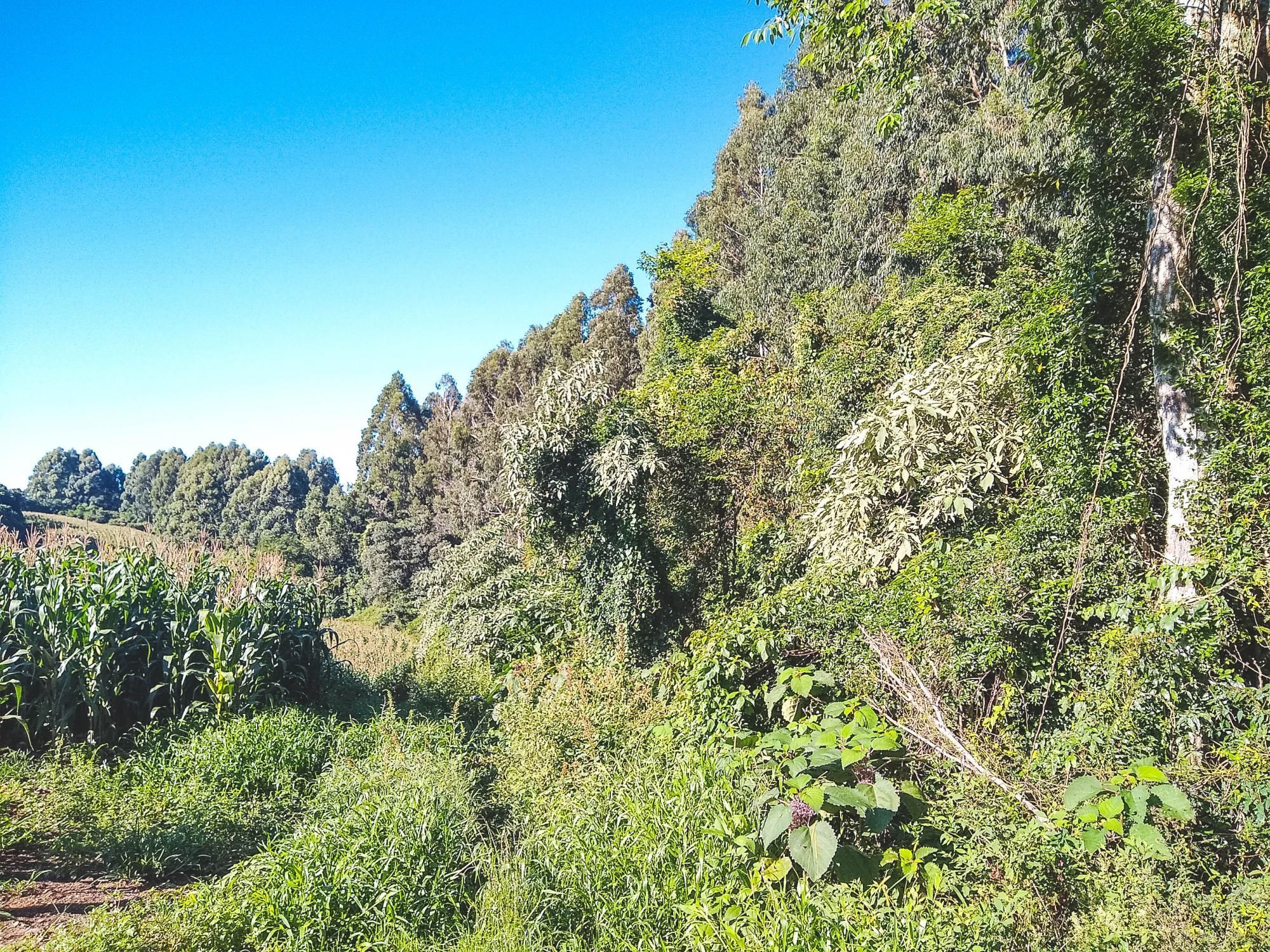 Terreno comercial à venda  no Zona Rural - Carlos Barbosa, RS. Imóveis