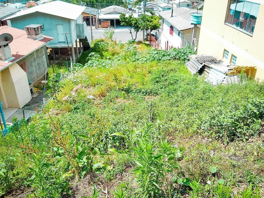 Lote/Terreno de 220m² no bairro Ouro Verde, em Bento Gonçalves | Eu Corretor