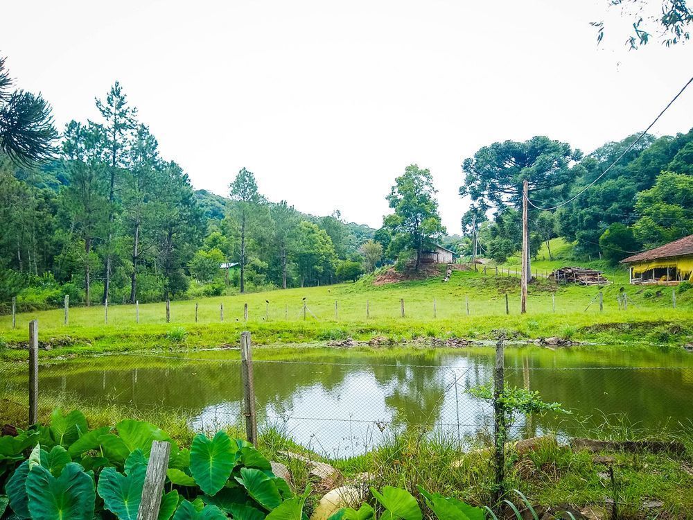 Terreno comercial à venda  no Zona Rural - Garibaldi, RS. Imóveis