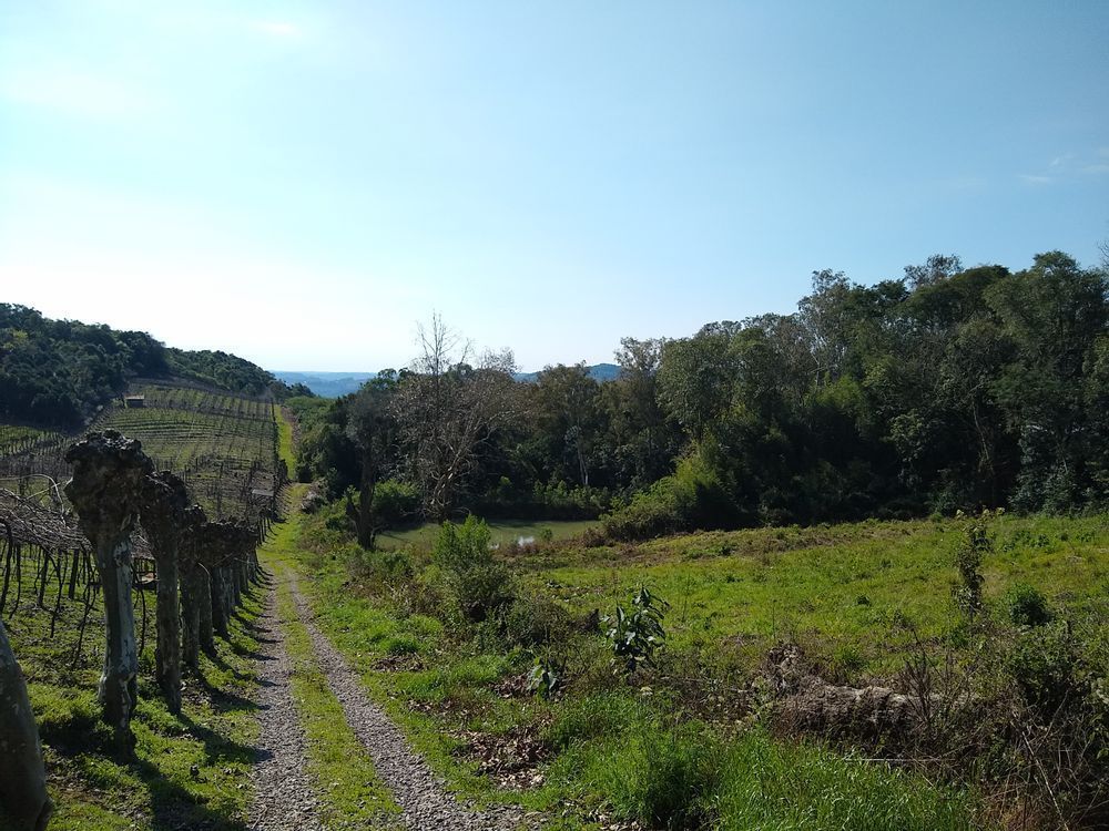 Terreno comercial à venda  no Vale dos Vinhedos - Bento Gonçalves, RS. Imóveis