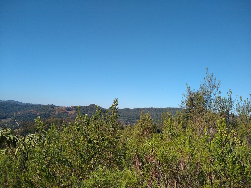 Terreno/Lote à venda  no Fátima - Bento Gonçalves, RS. Imóveis