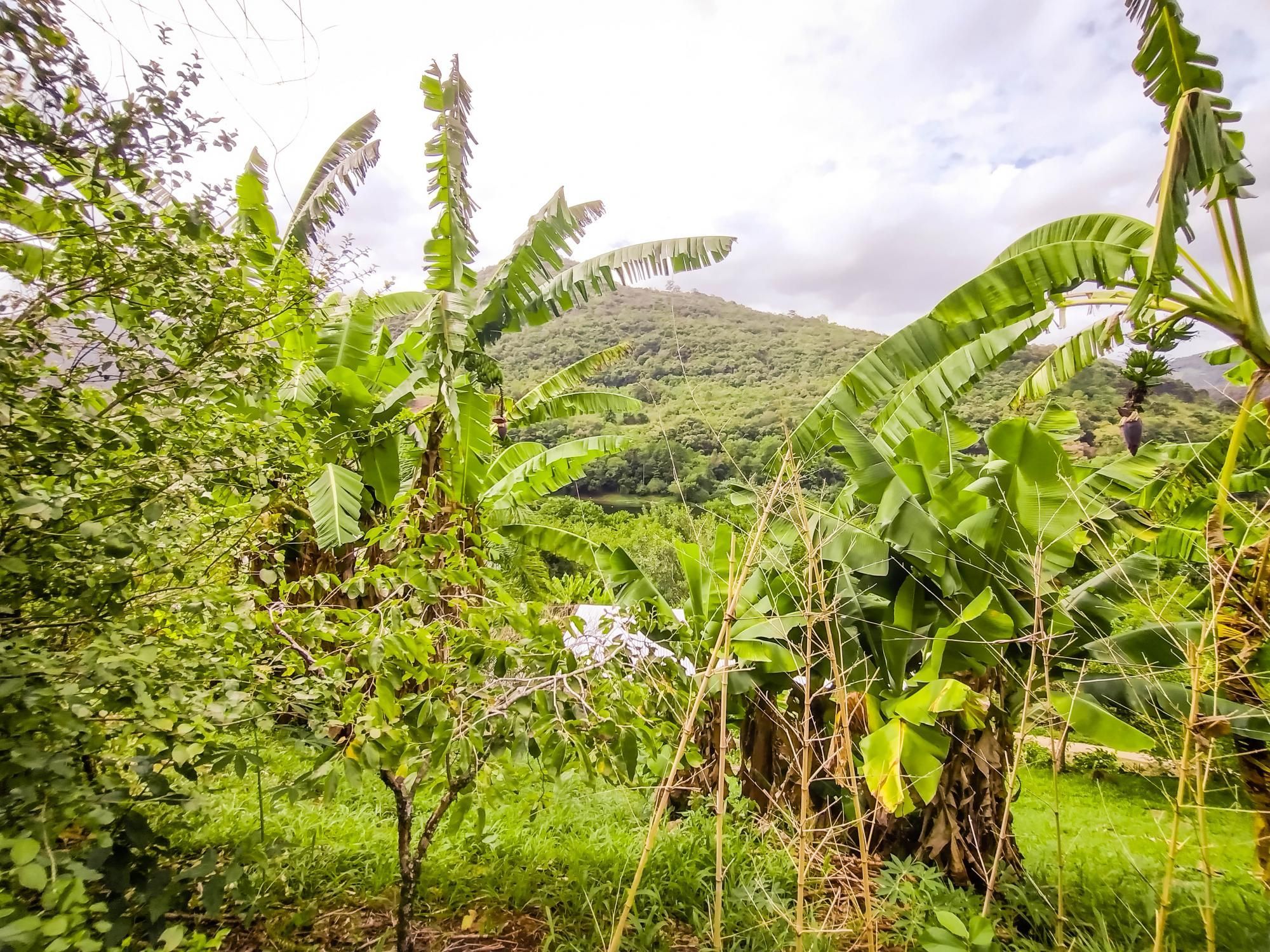 Loteamento e Condomínio à venda, 6000m² - Foto 14