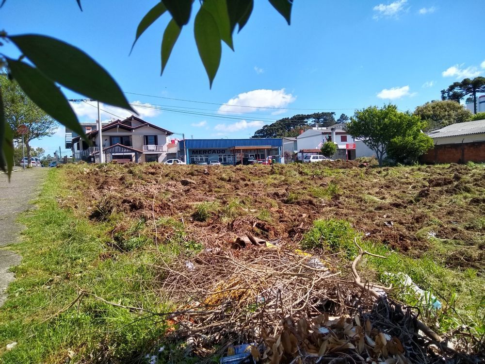 Terreno/Lote à venda  no Santa Marta - Bento Gonçalves, RS. Imóveis