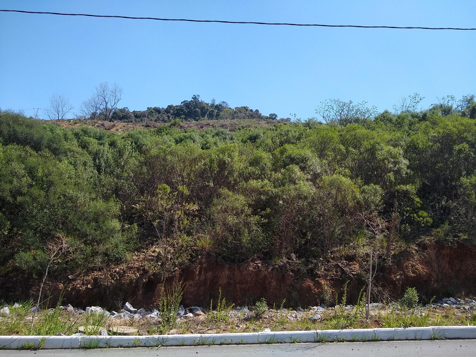 Terreno/Lote à venda  no Fátima - Bento Gonçalves, RS. Imóveis