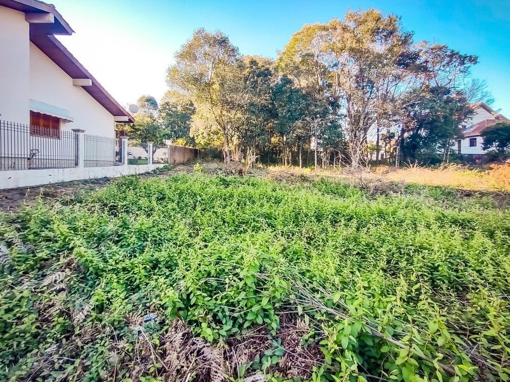 Terreno/Lote à venda  no Santo Antão - Bento Gonçalves, RS. Imóveis