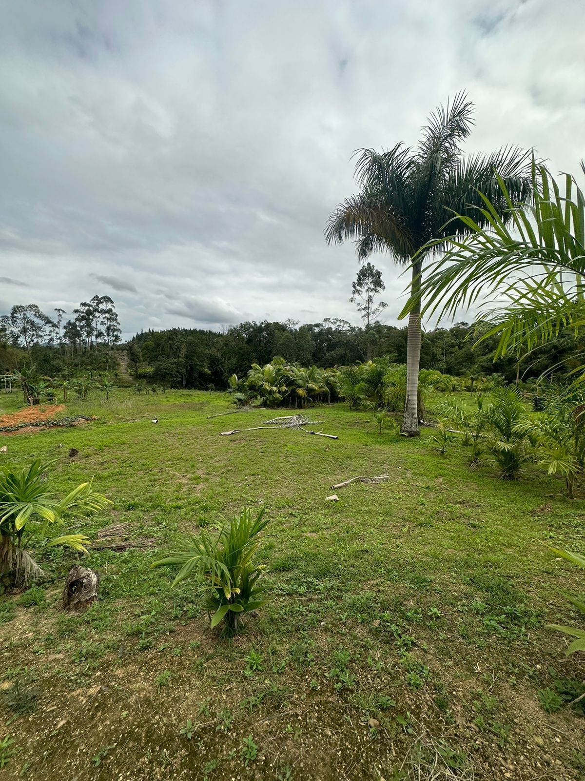 Fazenda/stio/chcara/haras  venda  no Zona Rural - Guaramirim, SC. Imveis