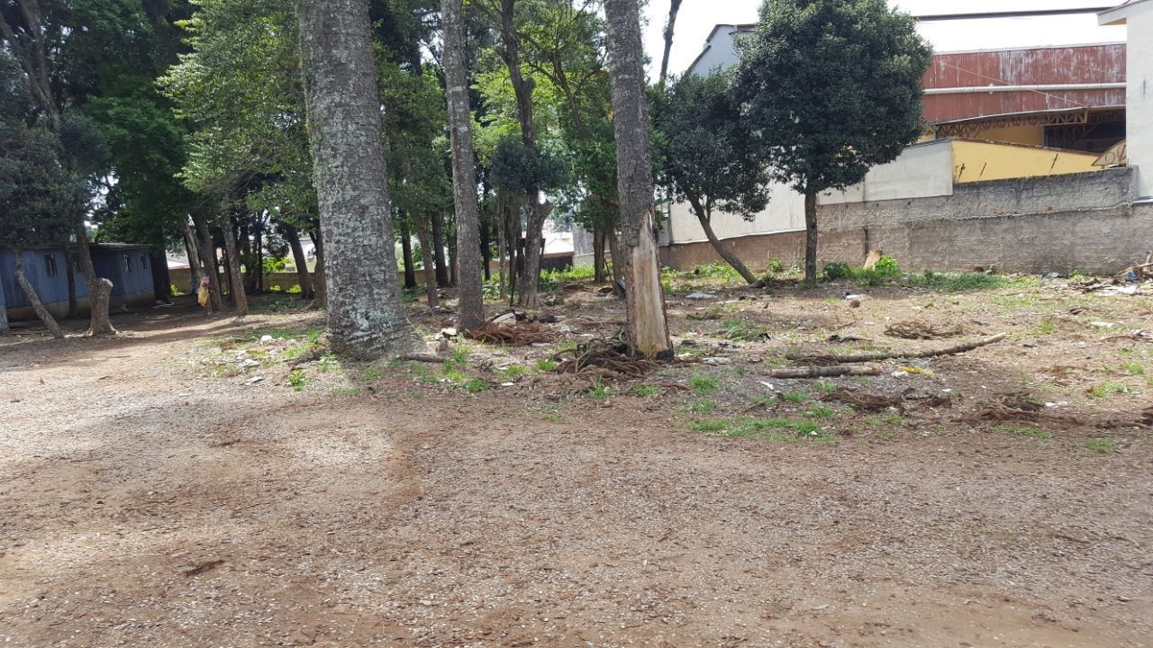 Terreno, 1001 m² - Foto 4