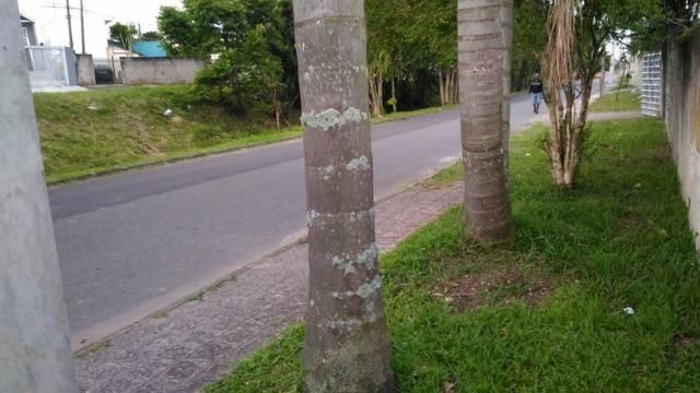 Terreno, 450 m² - Foto 3