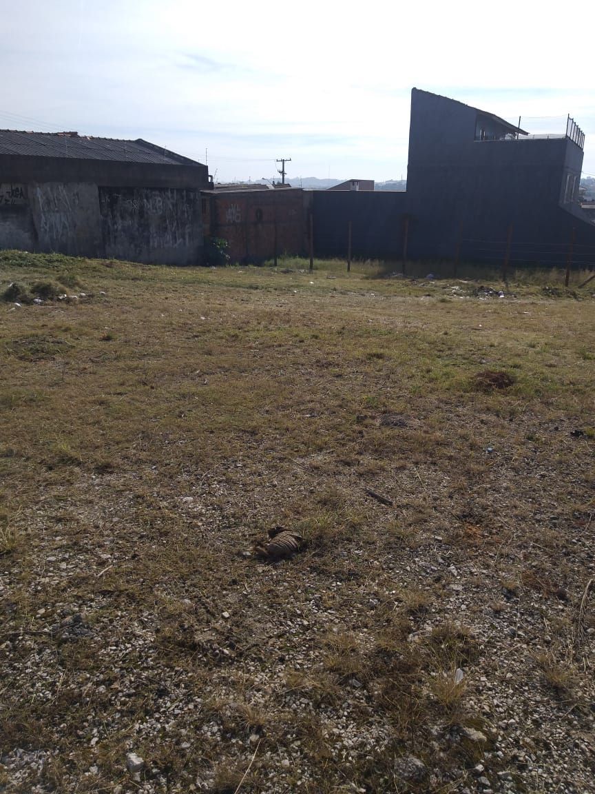 Terreno, 316 m² - Foto 3