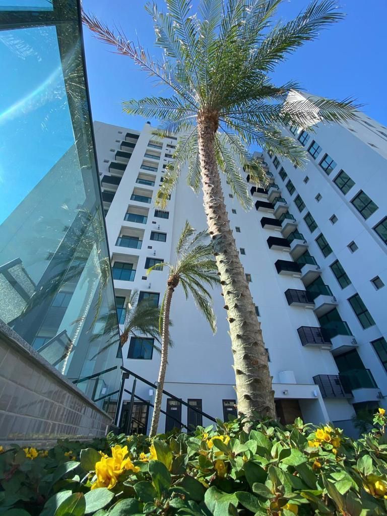 Apartamento, 2 quartos, 63 m² - Foto 2