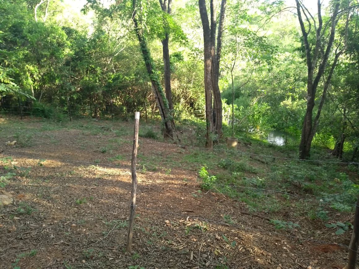Foto 2 — Terreno de 40.000m² à venda em Funilândia