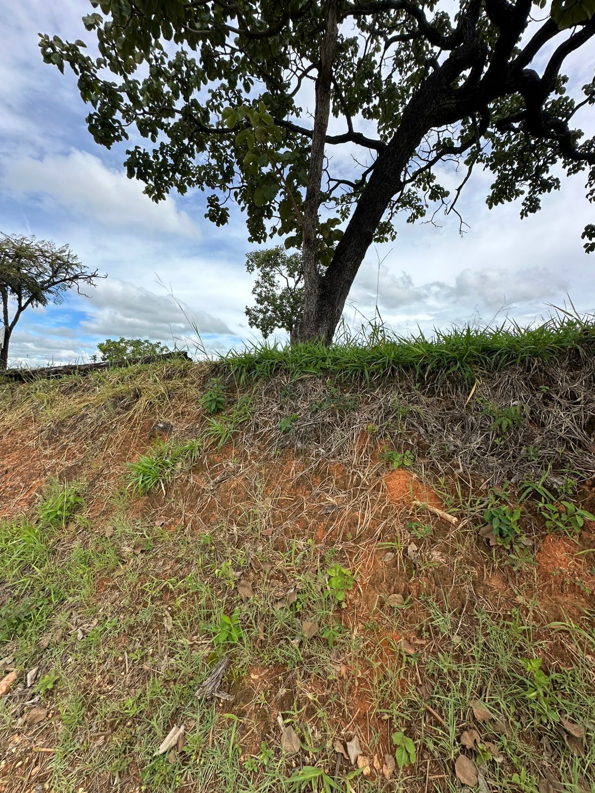 Terreno em Novo Campinho, Pedro Leopoldo