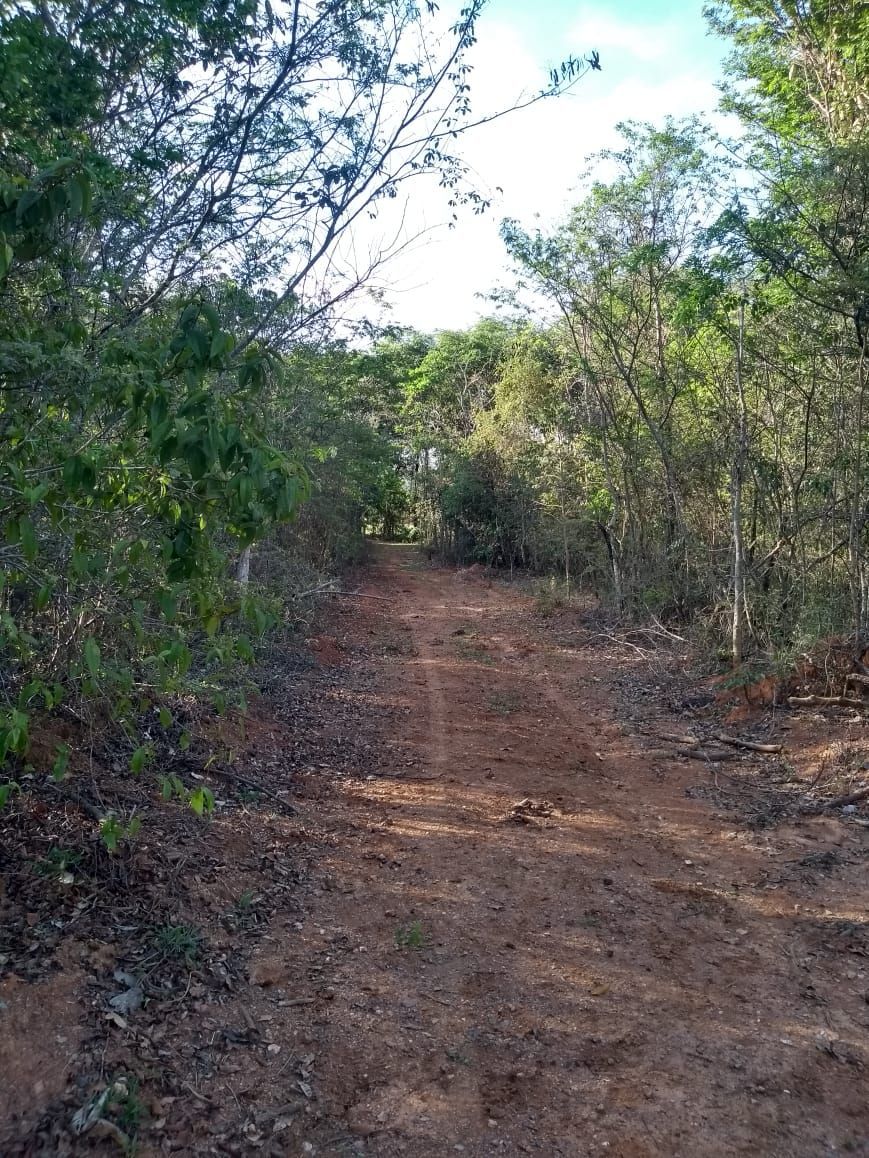 Foto 3 — Terreno de 40.000m² à venda em Funilândia