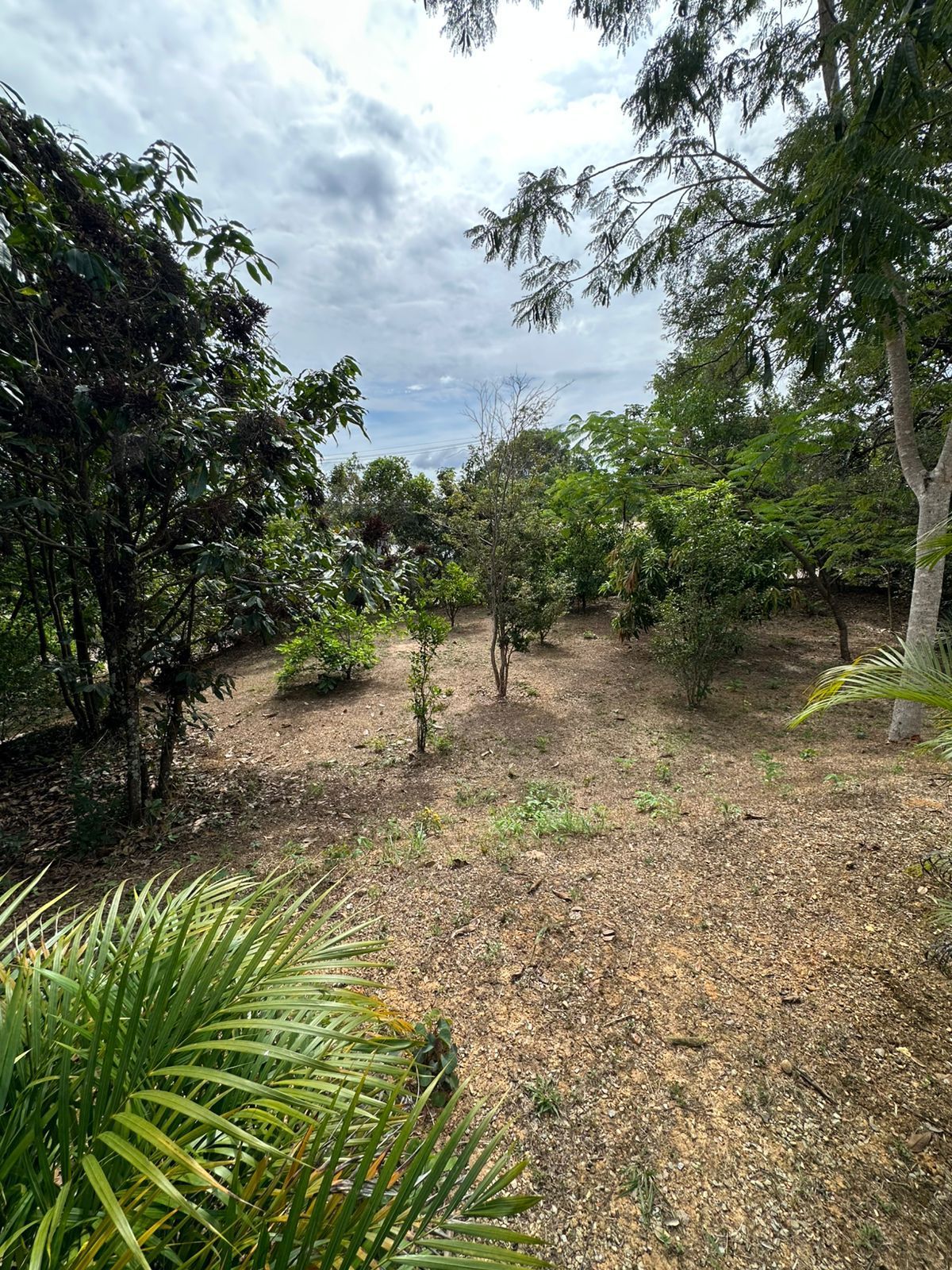 Foto 5 — Casa à venda condomínio Vale do Luar em Jaboticatubas