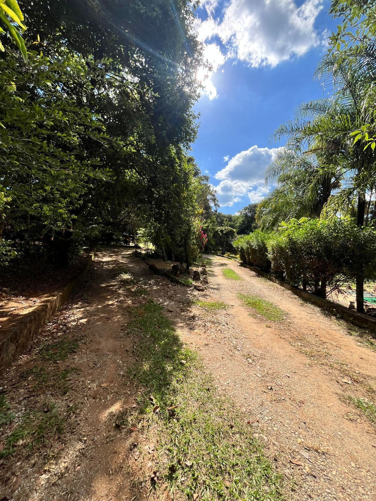 Foto 4 — Sítio à venda em Mocambeiro, Matozinhos
