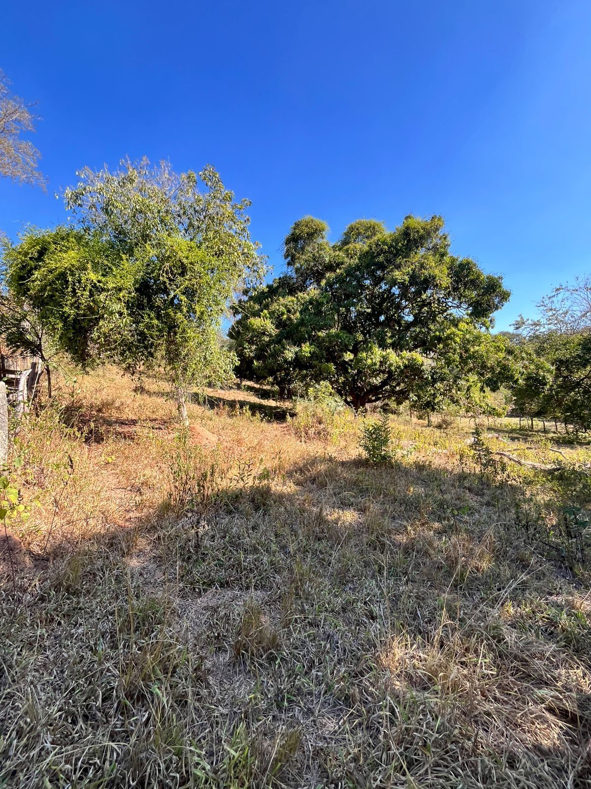 Foto 4 — Sítio para venda e locação no bairro Jardim Ipê em Pedro Leopoldo