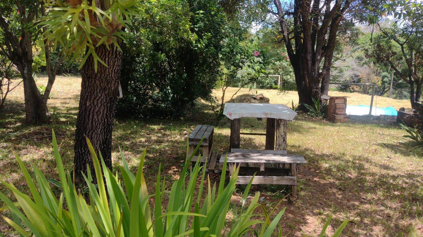 Foto 5 — Lindo Sítio na Quinta das Fazendinhas em Matozinhos