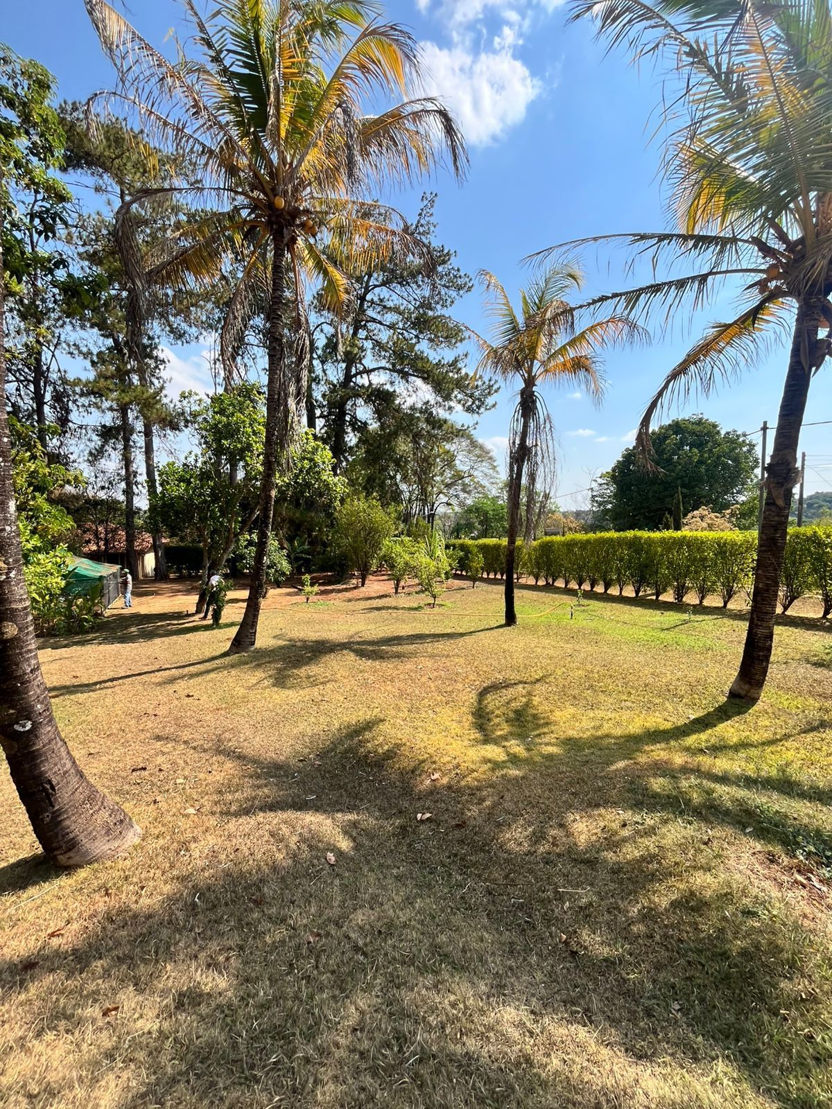 Foto 5 — Sítio à Venda com Vista para a Lagoa - Lagoa dos Mares em Confins