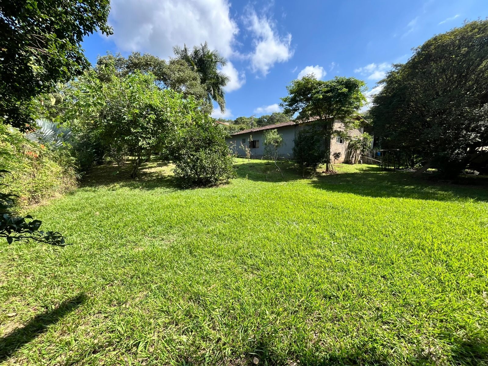 Sítio/Fazenda em Santo Antônio da Barra, Pedro Leopoldo