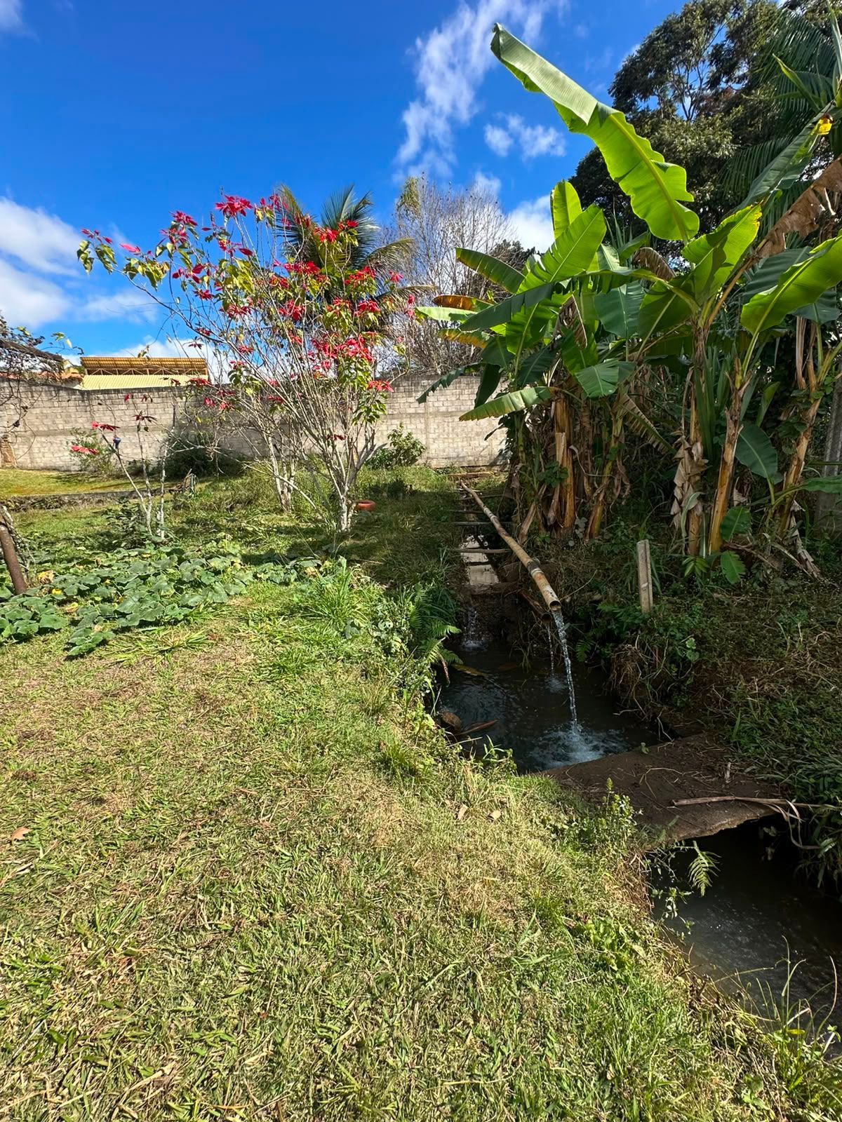 Foto 2 — Sítio no bairro Jardim Encantado em Vespasiano