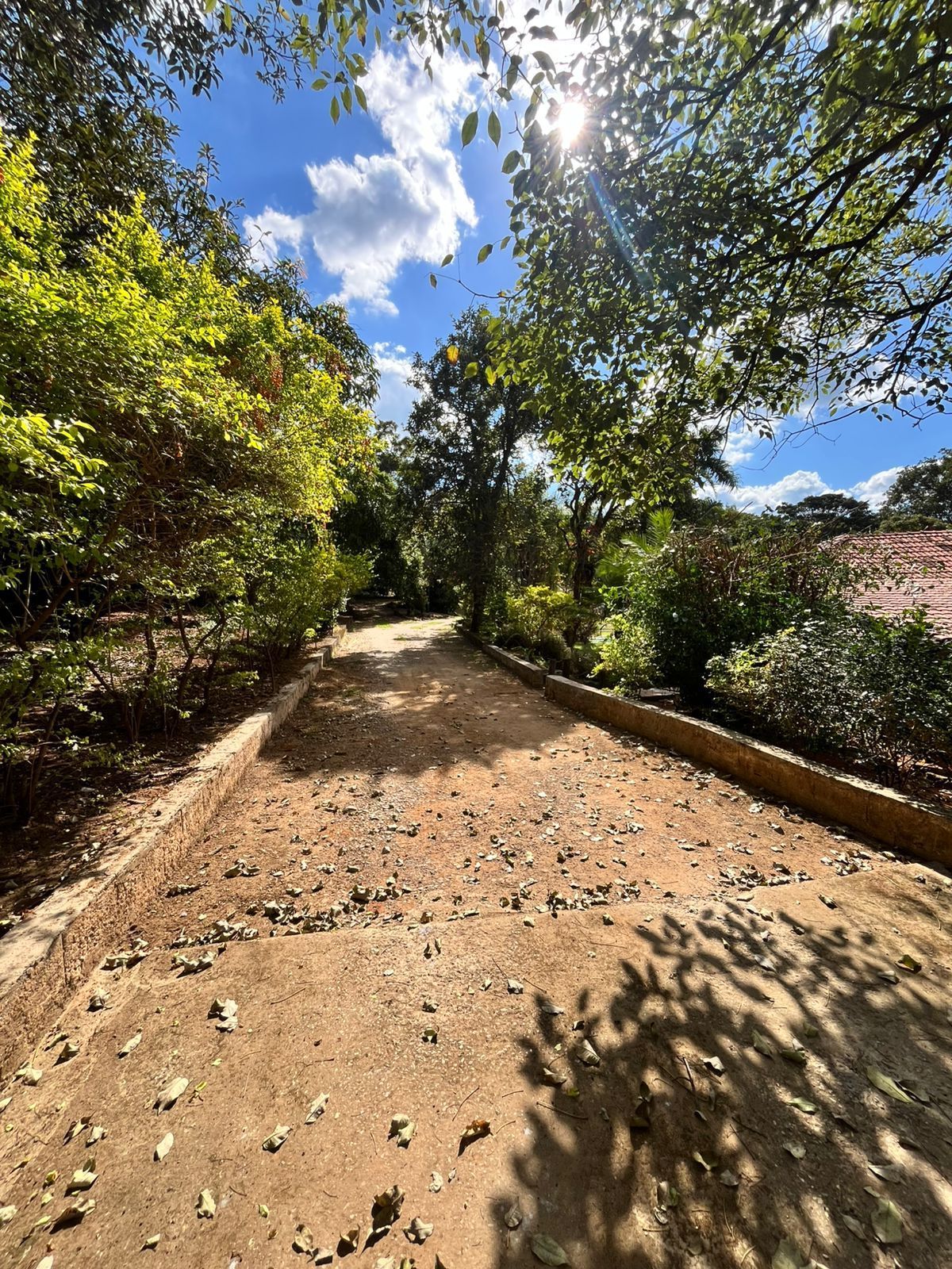 Foto 5 — Sítio à venda em Mocambeiro, Matozinhos