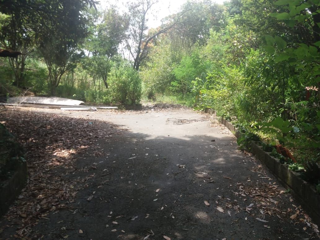 Foto 5 — Terreno de 14mil m² na MG-424 em Pedro Leopoldo